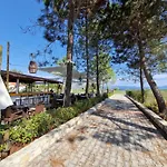 Alexandra Studio 11